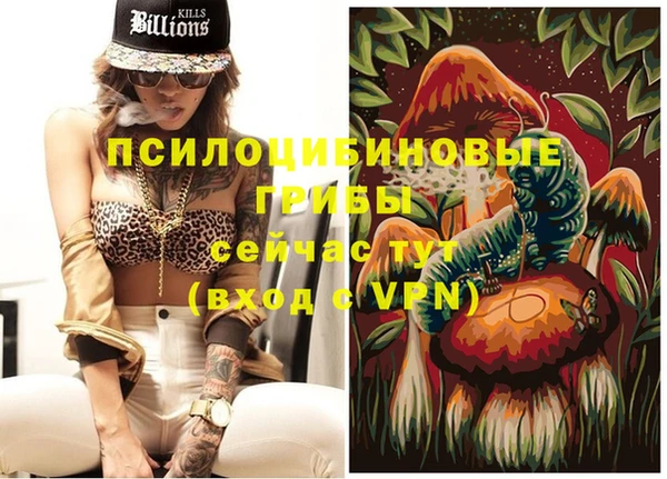МДПВ Гусиноозёрск