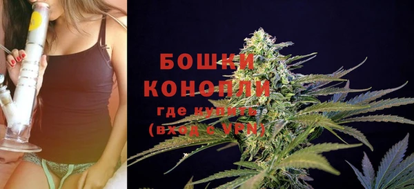 прущий лед Гусев