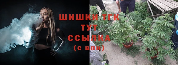 apvp Гусь-Хрустальный
