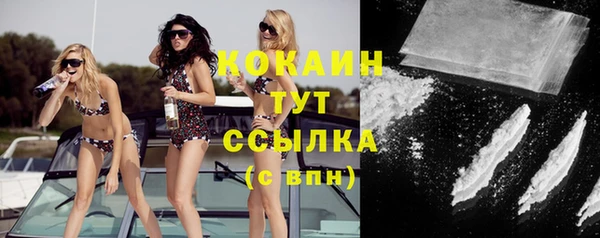 apvp Гусь-Хрустальный