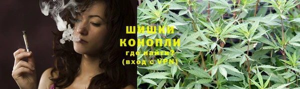 apvp Гусь-Хрустальный