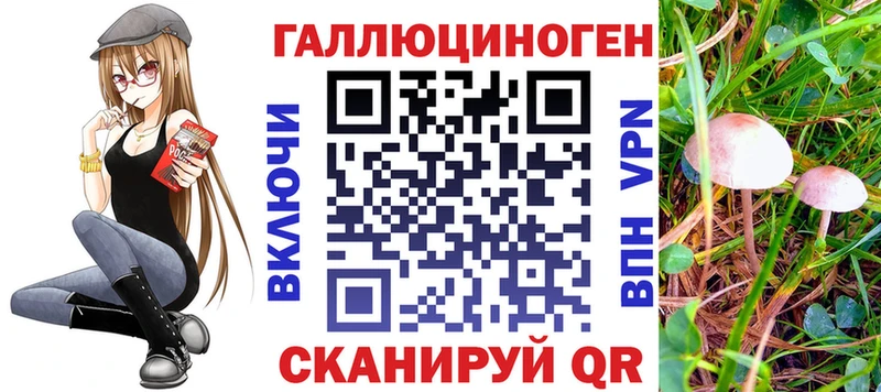 ОМГ ОМГ ссылки  Тюмень  Галлюциногенные грибы Psilocybe 