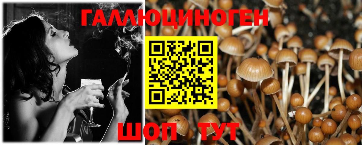 Галлюциногенные грибы Magic Shrooms  Вход с VPN  наркотики  Галлюциногенные грибы мухоморы  Тюмень 