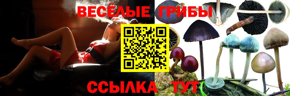 Галлюциногенные грибы Magic Shrooms Тюмень